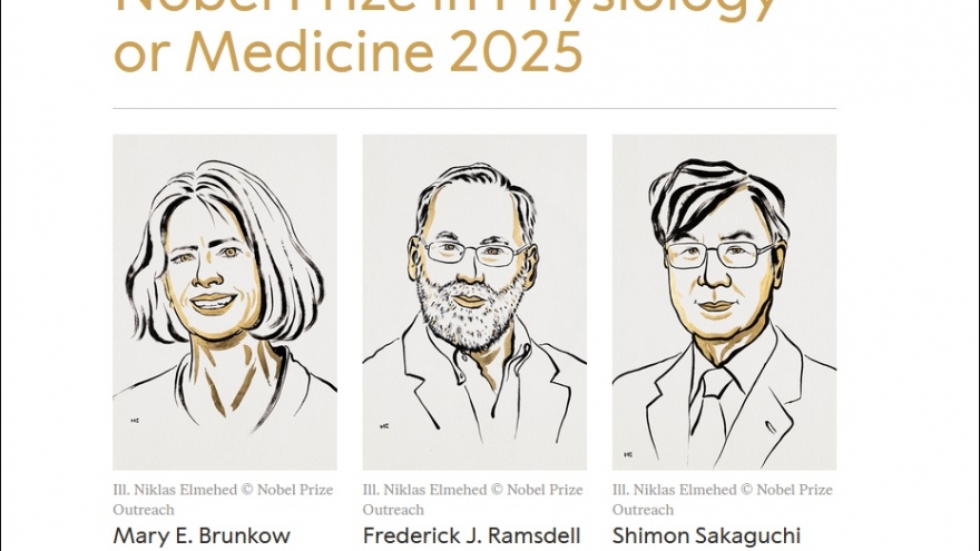 Nobel Y sinh 2025 vinh danh các nhà khoa học Mỹ và Nhật Bản về khám phá miễn dịch